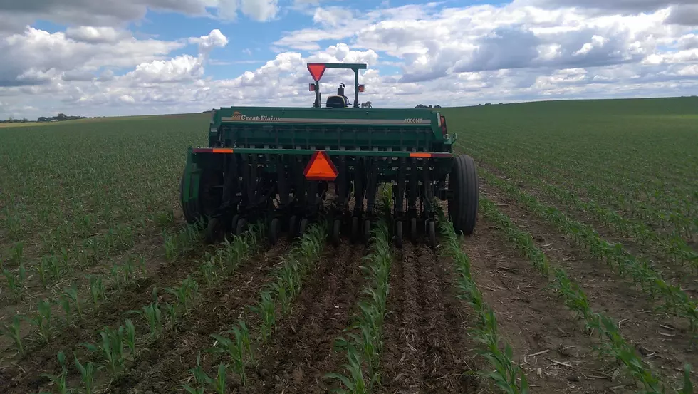 Cover Crop Interseeding Demonstration Tuesday