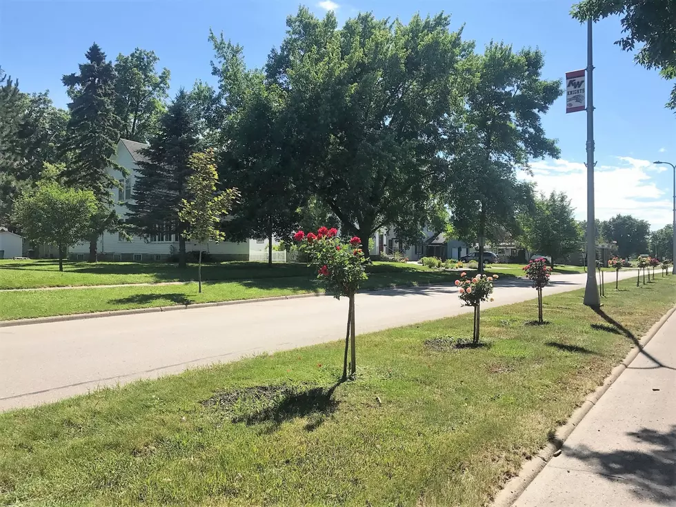 Kenyon Fire Hall Dedication is Saturday