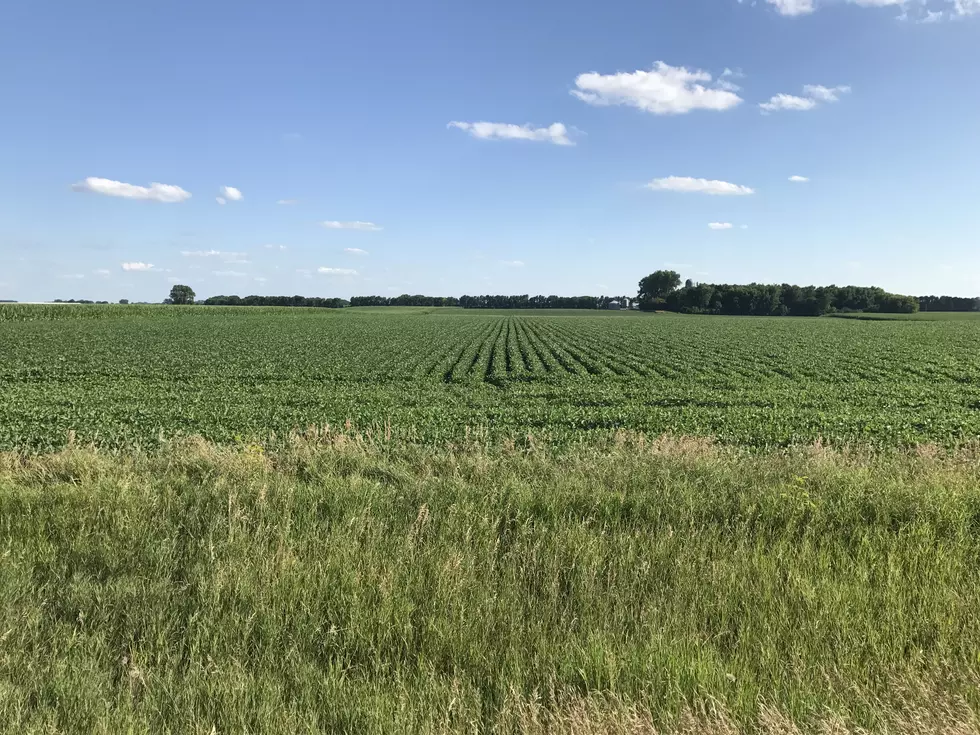 Weekly Weather and Crop Update