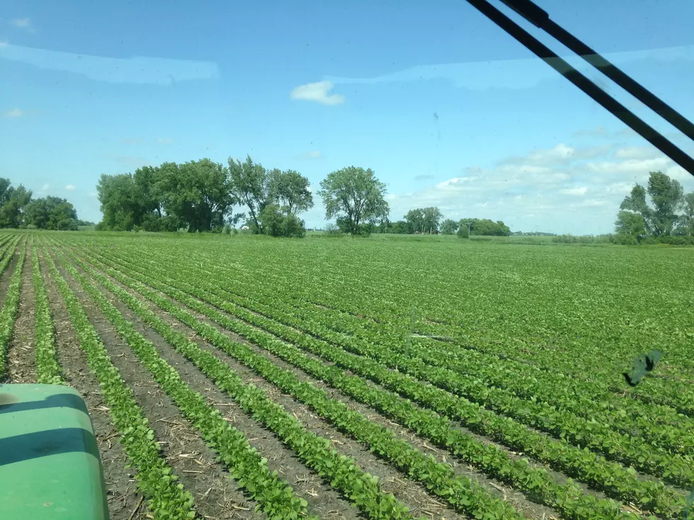 Weekly Weather and Crop Update