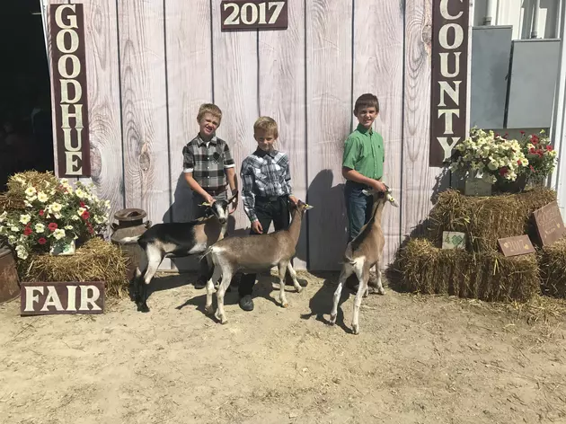 Schroeder Brothers at the Goodhue County Fair