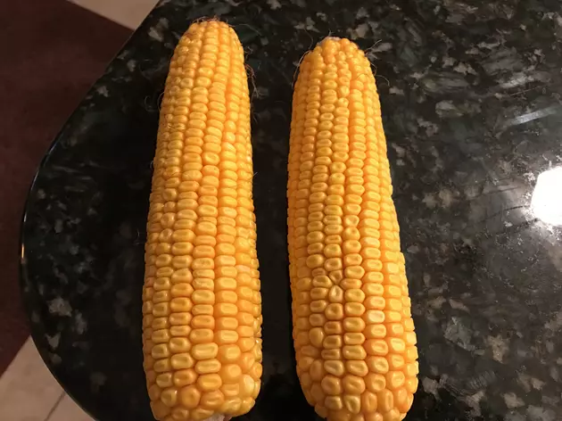National Maize (Corn) Day