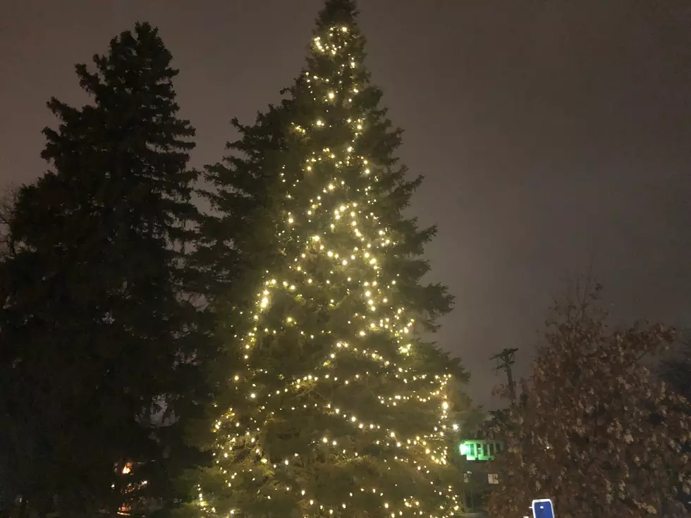 Faribault Hospice Light Up A Life Moved Indoors is Still Magical