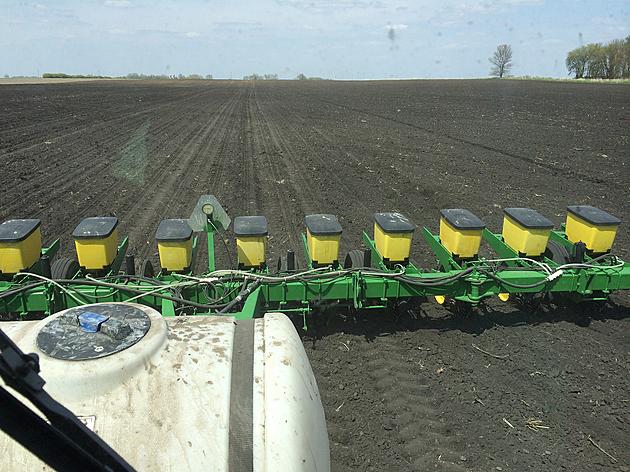 We Learned In 2019 Planting Dates Don&#8217;t Matter?
