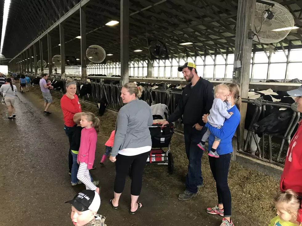 Breakfast On a Dairy Farm