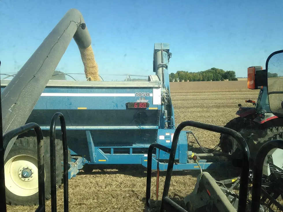 [Listen] Gordy USDA Acres and Grain Stocks Report Corn Up Limit