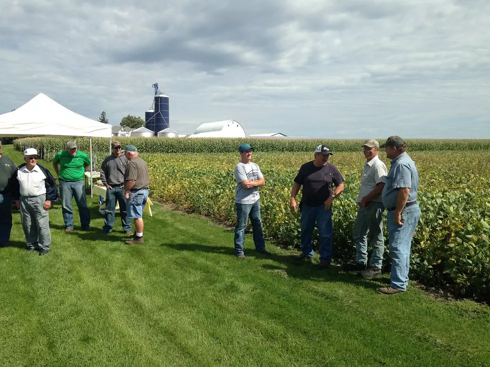 Dakota Rice Corn and Soybean Growers Plot Day