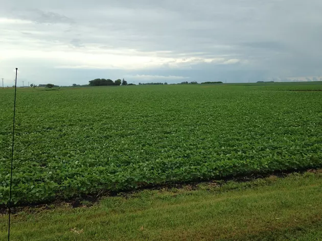 NAAS Crop Progress Report