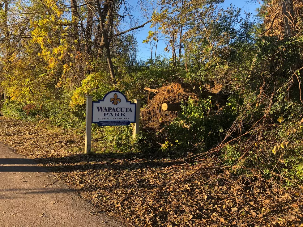 Faribault Tornado Damage Assessment Update on AM Minnesota