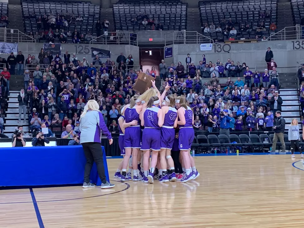 Goodhue #2 Seed at State Tournament Begin Thursday