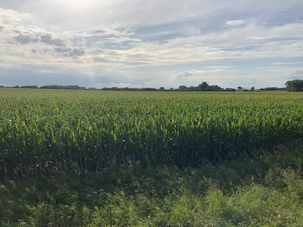 48th Annual Crop Production Field Day