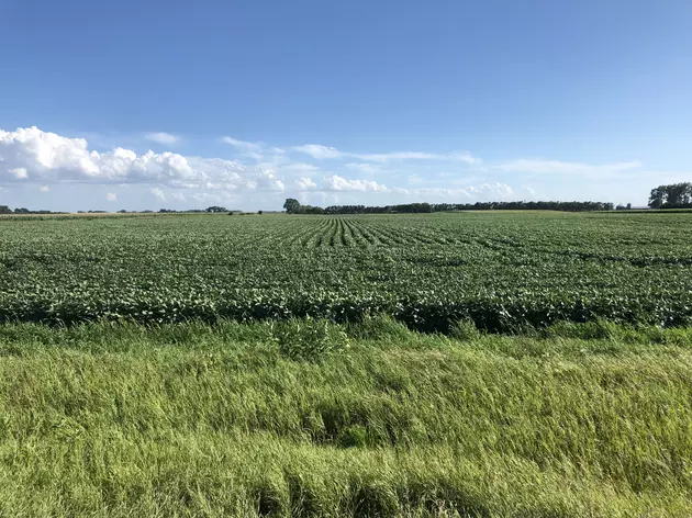 Weekly Weather and Crop Update