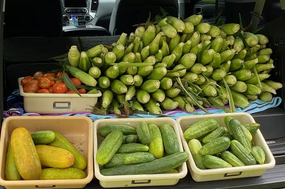 A Group of Minnesota Women Have Grown and Donated Over 2,500 lbs of Food This Summer