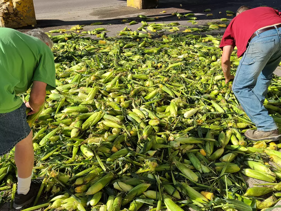 Sweet Corn Truck Driver Loses Top Load of Corn to 7th Street Bridge in Faribault