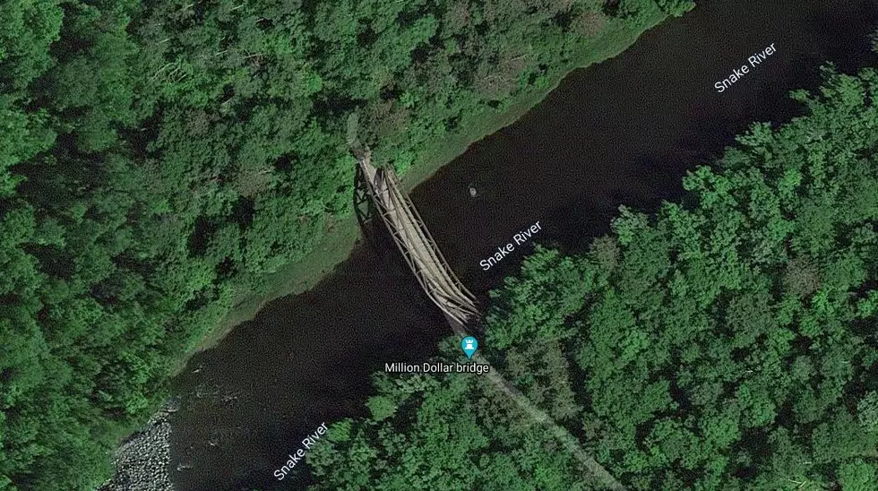 Secret Bridge Hidden in Minnesota Forest is 2 Hours North of Faribault