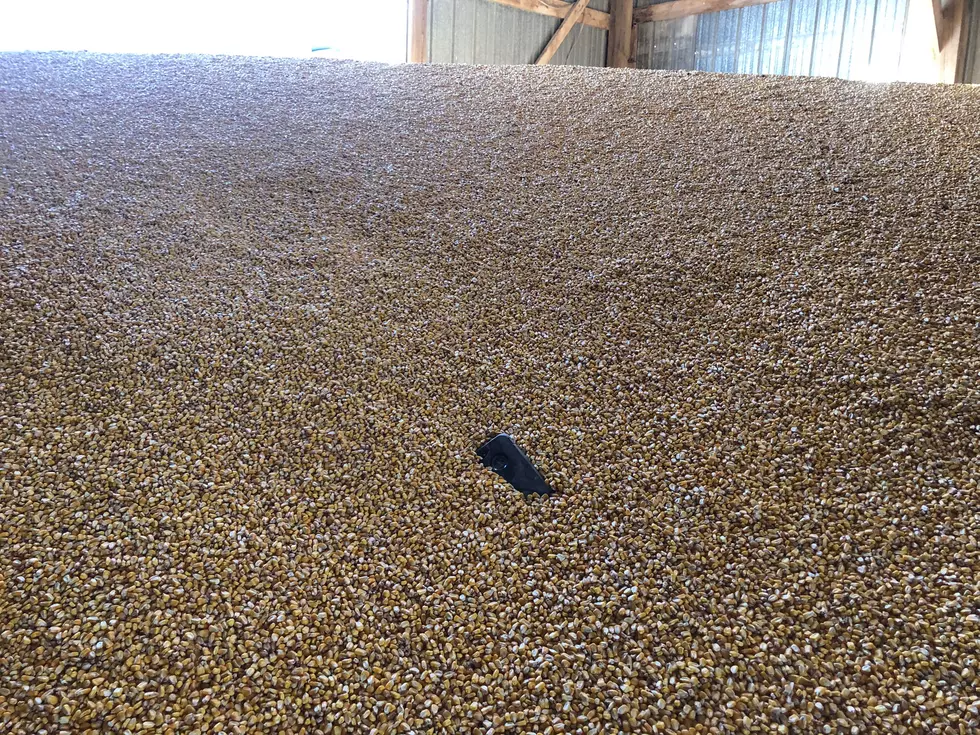 Harder Than Finding a Needle In a Haystack; Finding a Phone in 12,000 Bushel of Corn