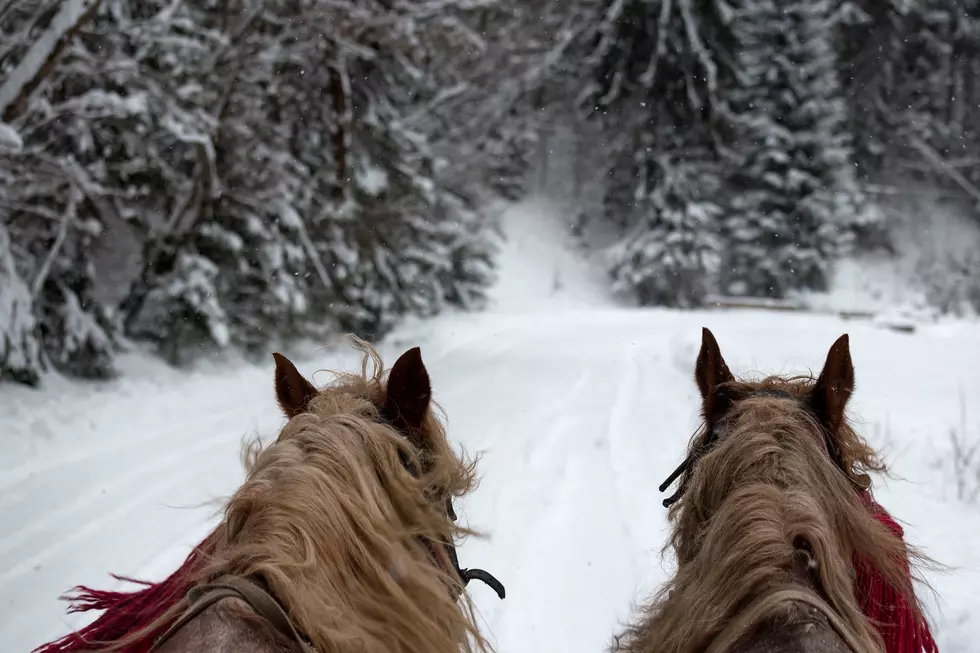 Take a Magical Winter Sleigh Ride in Southeastern Minnesota