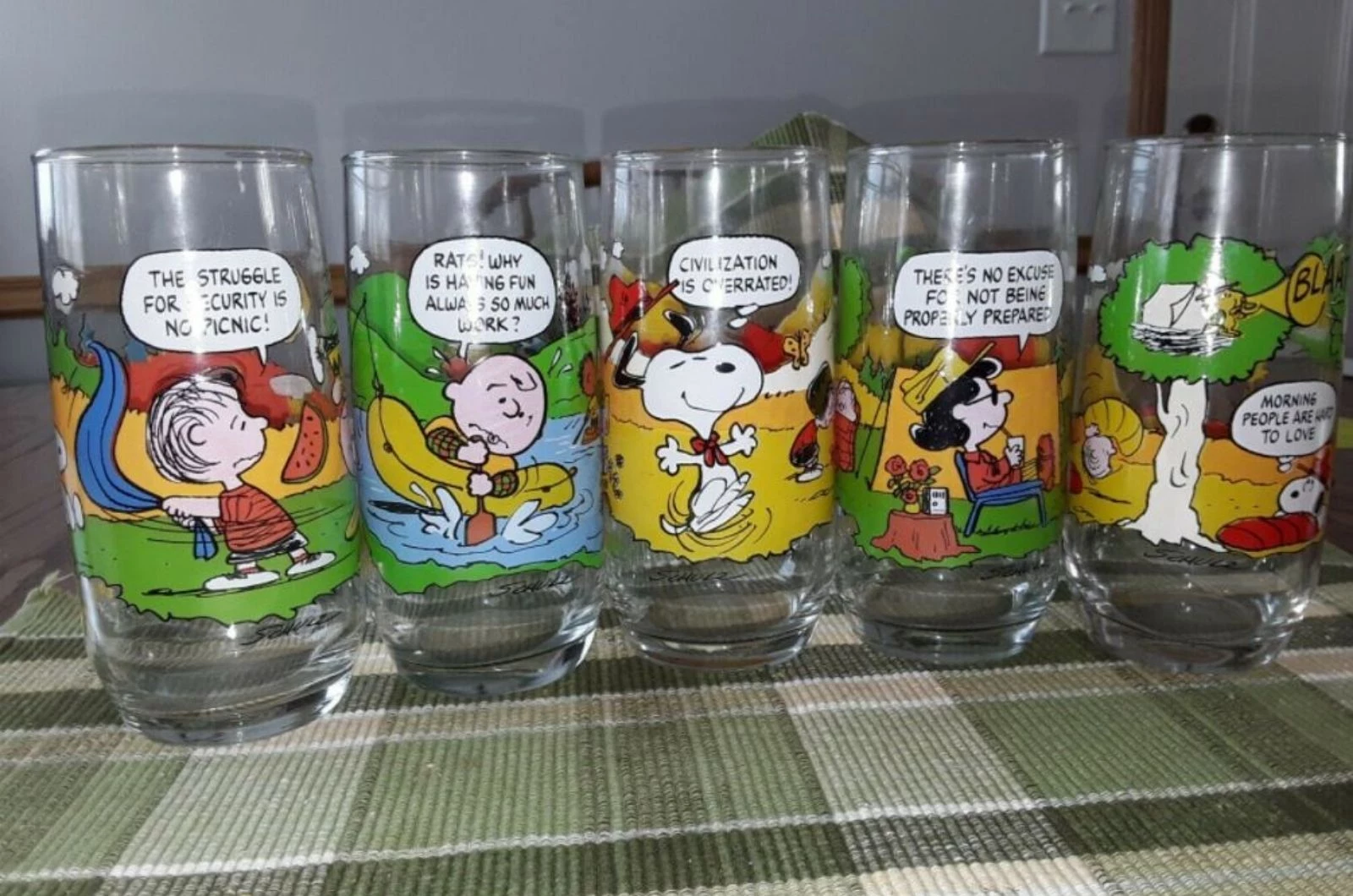 Remember MN's Camp Snoopy? Rare Find: Camp Snoopy Glasses