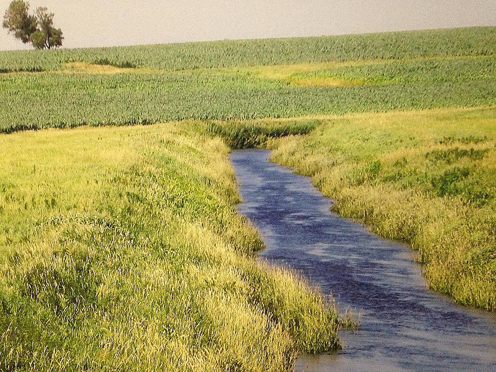 Higher Profits for Ag Water Quality Certified Farms