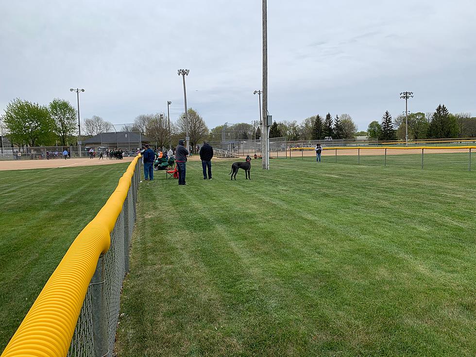 Falcons Fastpitch Sweeps Albert Lea