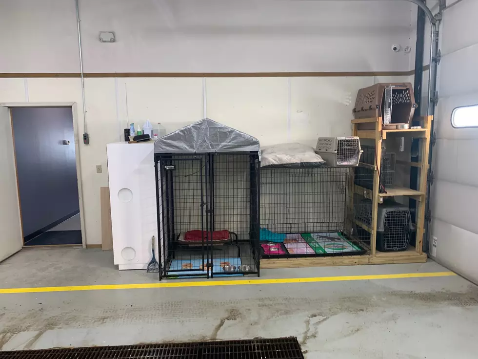 Kenyon Police Station Found Animals Area. Photo by Gordy Kosfeld