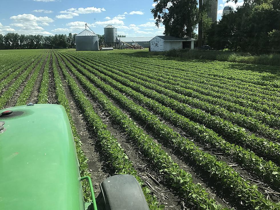 [Listen] Gordy Recap Bean Acres Down 4 Million Corn Up 2 Million