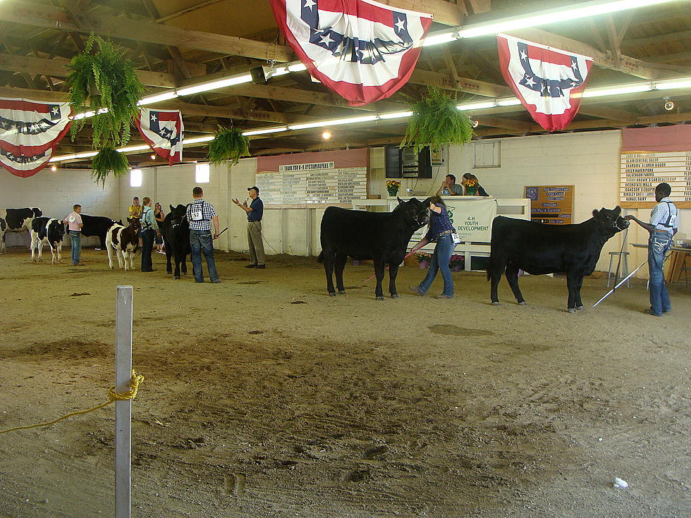 Rice County 4-H Livestock Auction Saturday Morning