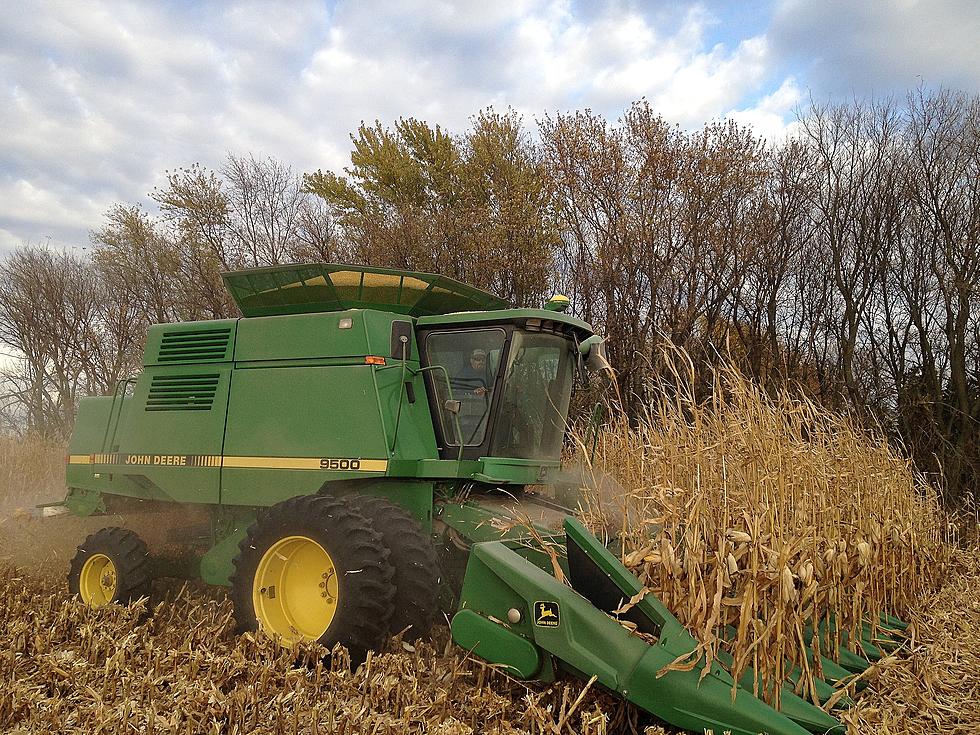 USDA October Grain Stocks Shocking Bearish [Listen]