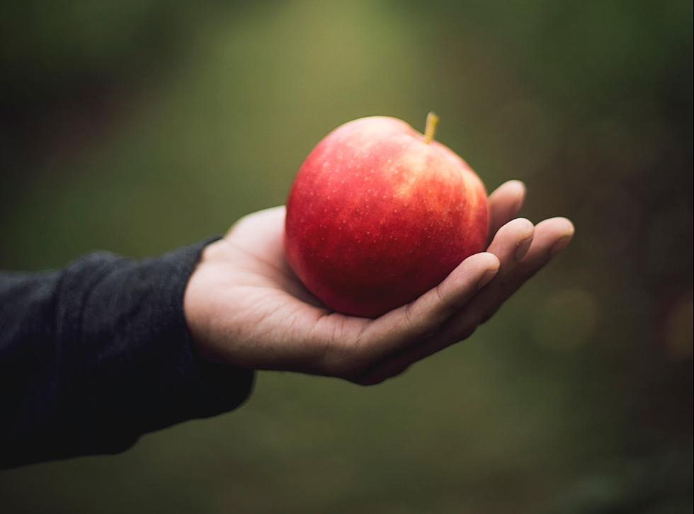 Meet Minnesota&#8217;s Newest Apple Variety + How and When to Get It