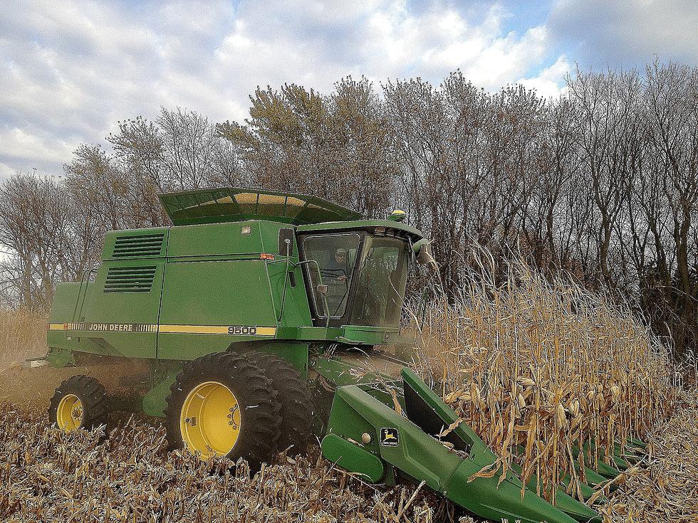 USDA January Report Big Moves In Corn & Beans [Listen]