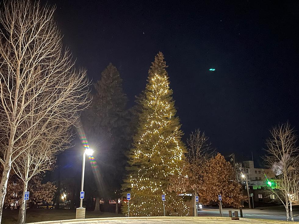 36th Faribault Hospice Tree Lighting