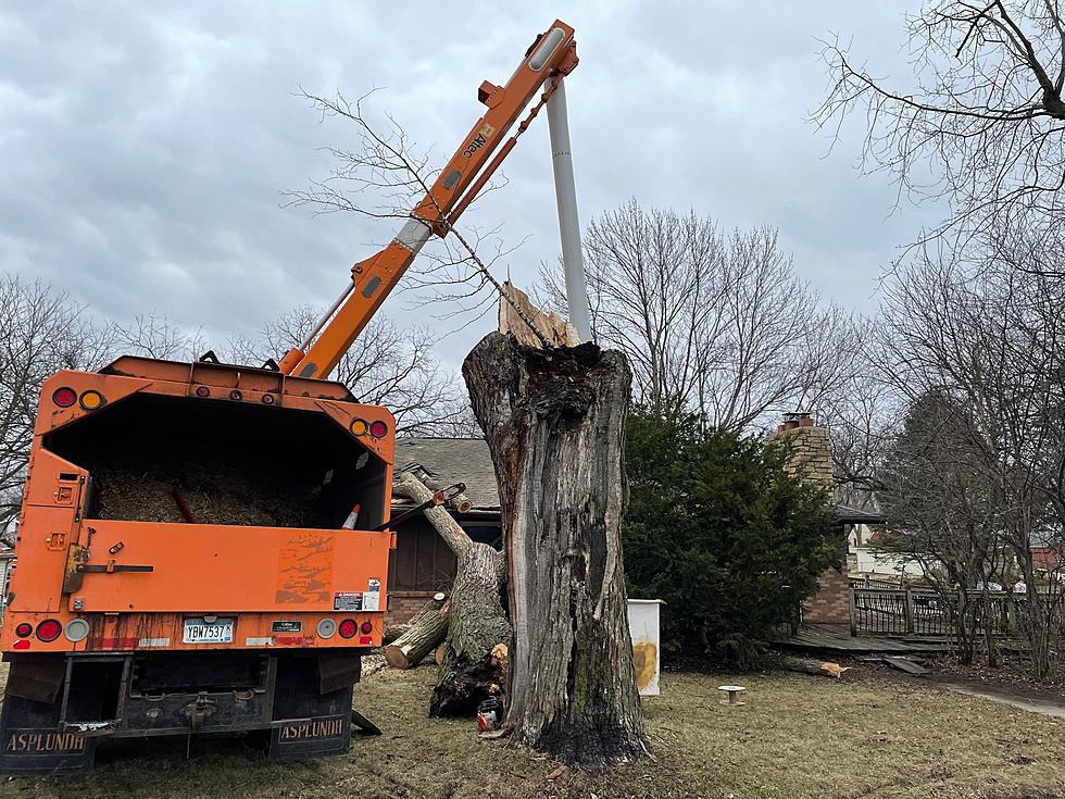 Faribault Sirens Not Sounded Due to Fast Storm Development