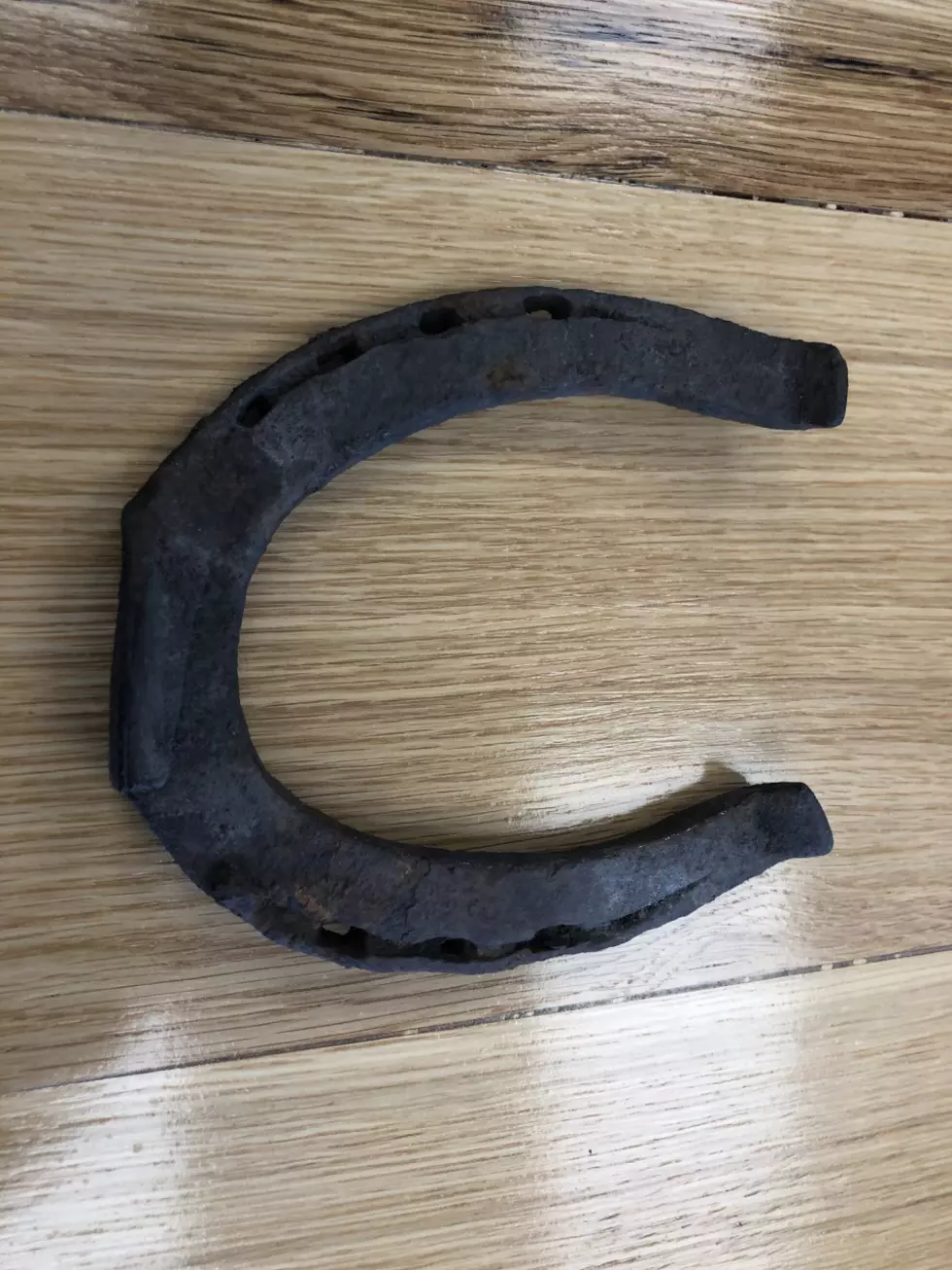 Fact or Fiction? If You Find a Horseshoe In the Field, Will Good Luck Soon Follow?