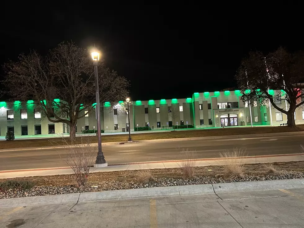 Rice County Going Green for Veterans