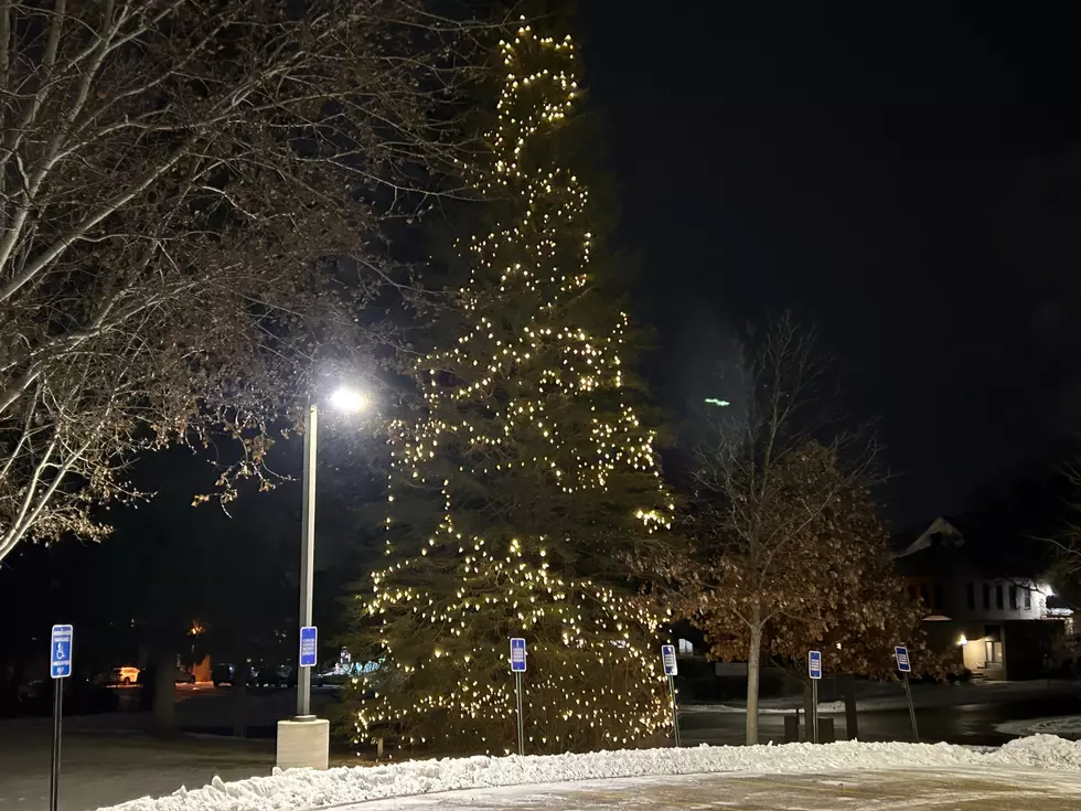 Faribault Hospice Tree Lit Once Again