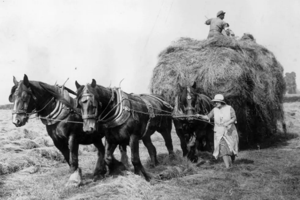 A View of Farm Life in the 1930s