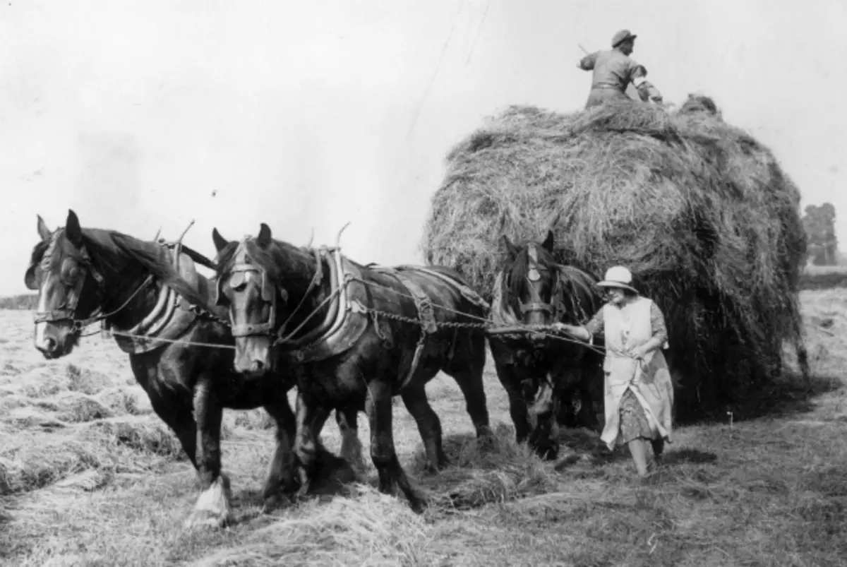 A View of Farm Life in the 1930s A View of Farm Life in the 1930s