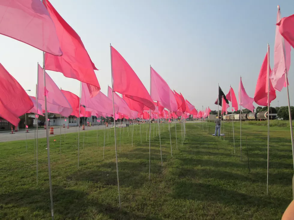 Field of Flags in Blooming Prairie 2015