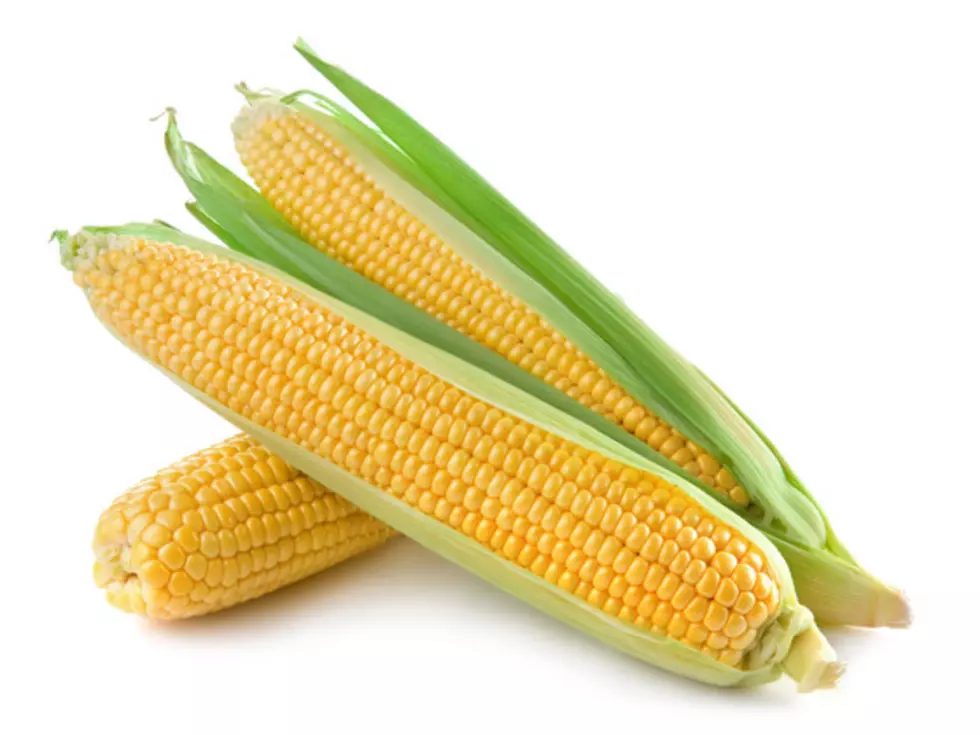 Rotary corn feed