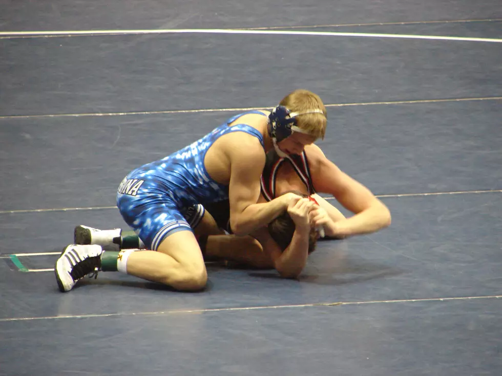 Seven Owatonna Wrestlers Qualify for State; NRHEG to Send Two, Medford One