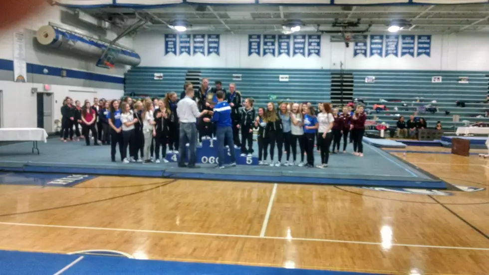 Gymnastics pre-State interviews