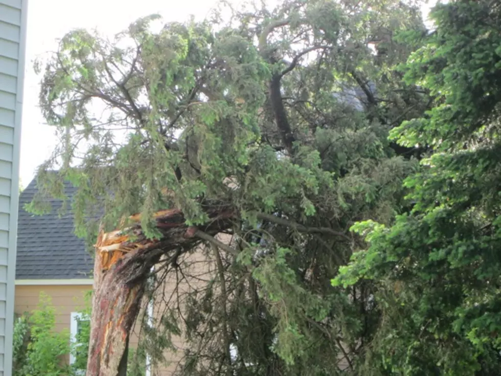 Reporting Some Storm Damage in Southern Minnesota