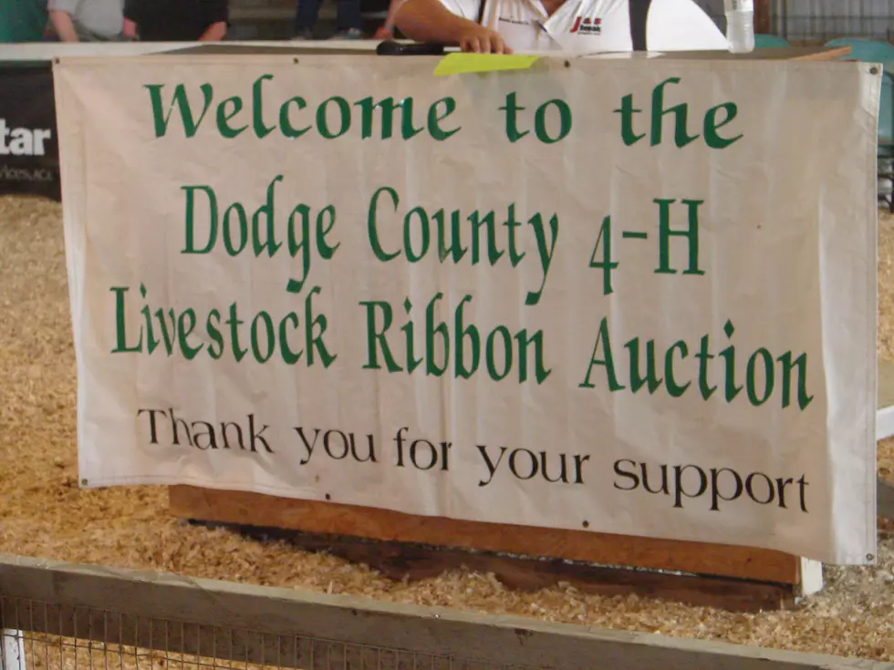 Dodge County Fair Begins Wednesday