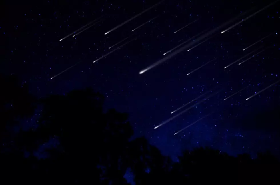 Night Sky Exploring at Rice Lake State Park