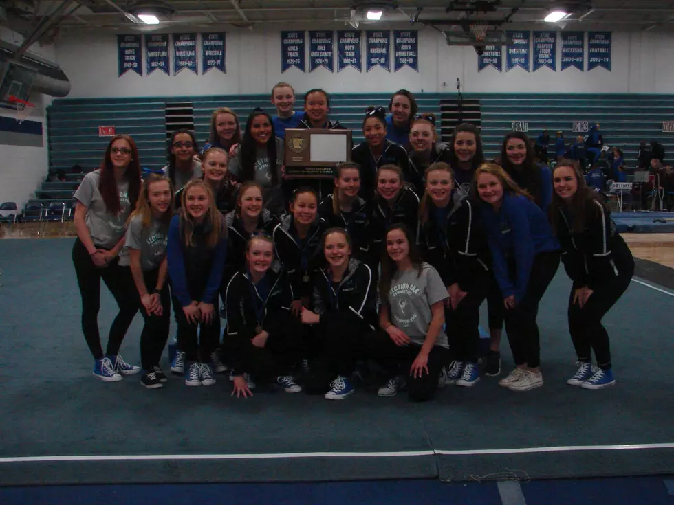 OHS Gymnasts Repeat as Champs