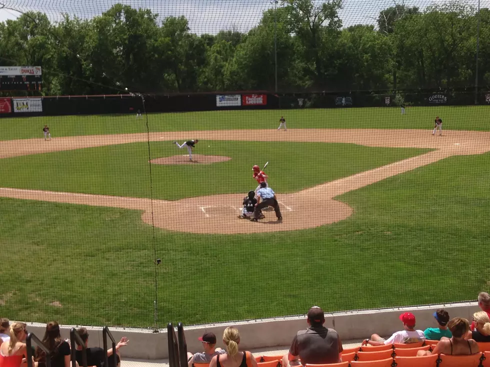 Red Wing, Lakeville North Rally From Behind for Section Baseball Titles