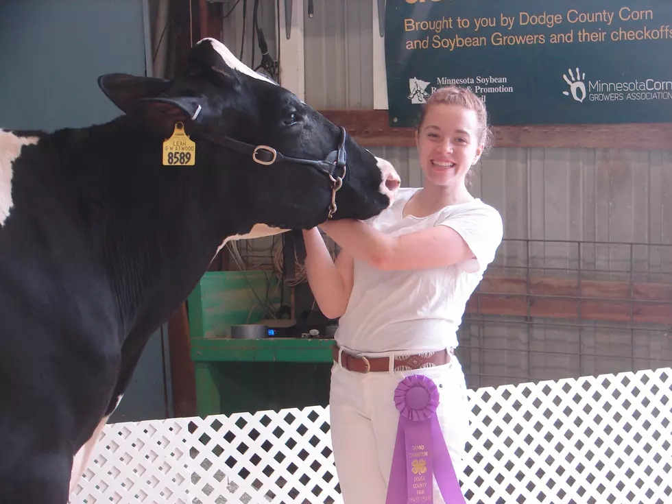 Ribbon Auction Supports Dodge County 4-H