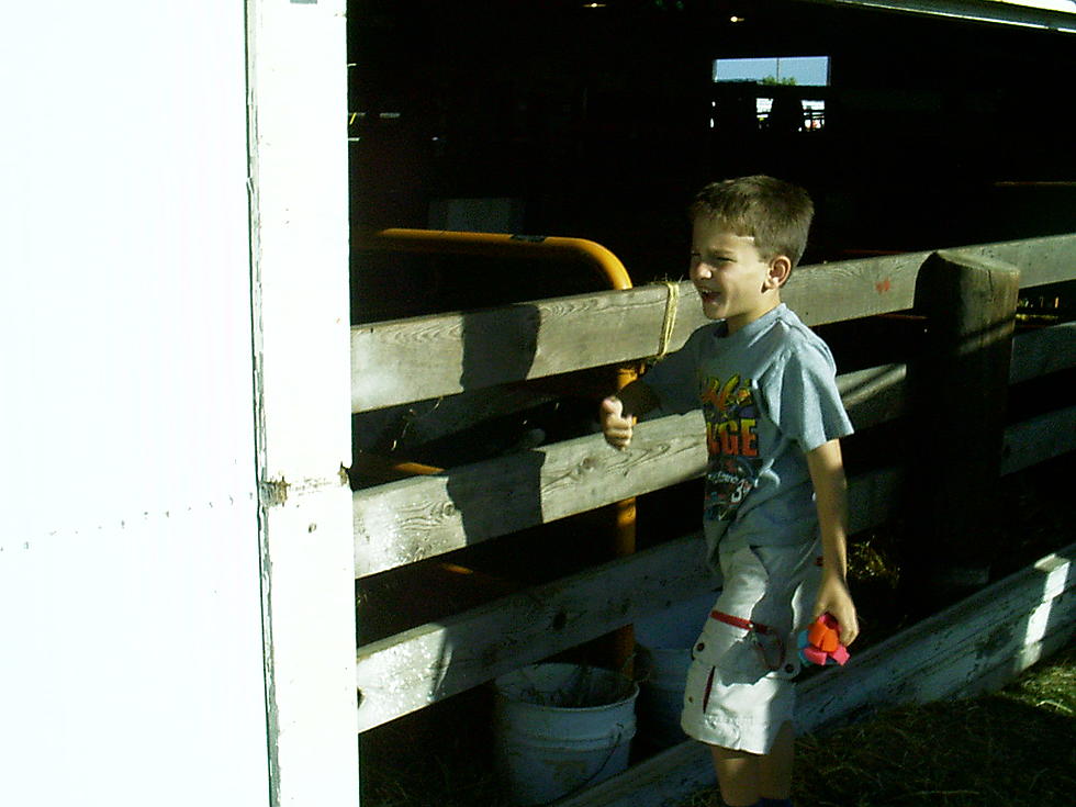 Roy’s Child was Lost at the Steele County Fair