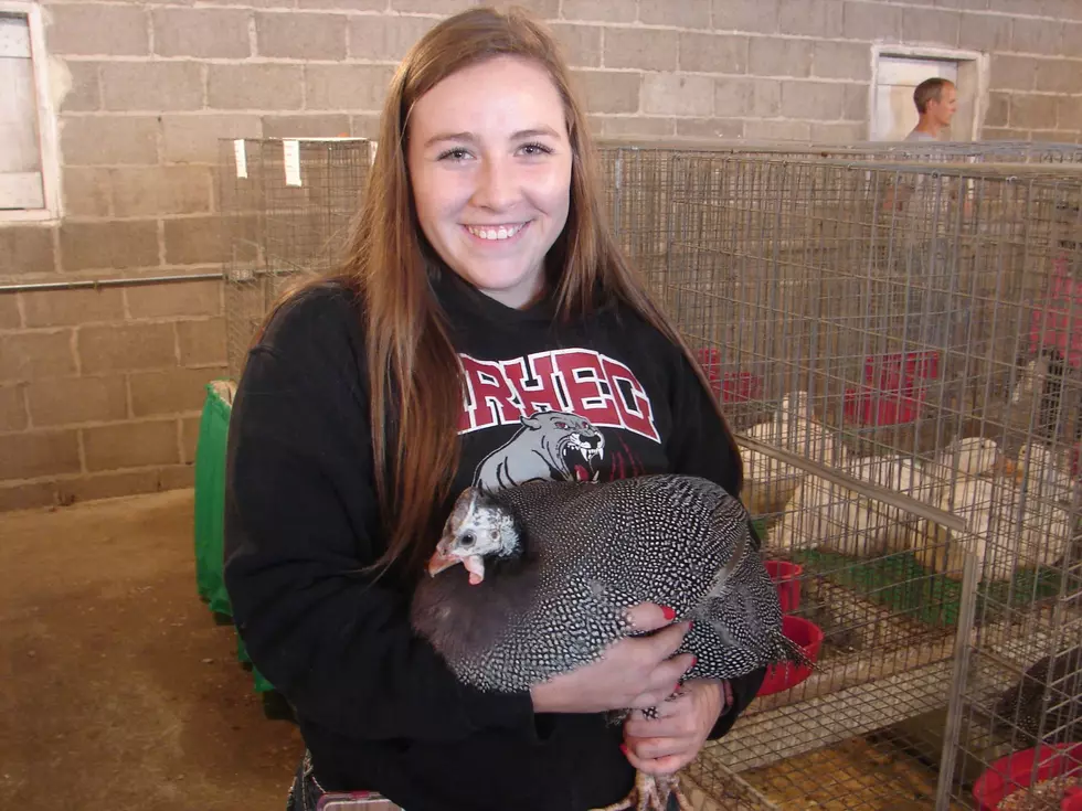 Steele County 4-Her Gets Joy from Showing Aggressive, Ugly Bird