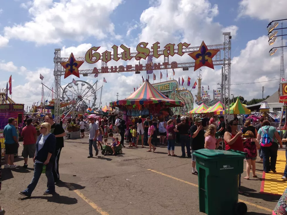 Countdown to the Steele County Fair